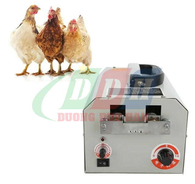 Máy Cắt Mỏ Gà 9DQ-X4 không chỉ là một dụng cụ, mà còn là một "người hùng không mặc áo choàng" đứng sau sự phát triển vượt trội của trại gà của bạn. Được trang bị lõi đồng cao cấp và mạnh mẽ, máy đảm bảo hiệu suất và độ bền tuyệt đối, giúp bạn cắt mỏ gà một cách nhanh chóng, an toàn và chính xác.