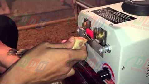 Máy Cắt Mỏ Gà 9DQ-X4 không chỉ là một dụng cụ, mà còn là một "người hùng không mặc áo choàng" đứng sau sự phát triển vượt trội của trại gà của bạn. Được trang bị lõi đồng cao cấp và mạnh mẽ, máy đảm bảo hiệu suất và độ bền tuyệt đối, giúp bạn cắt mỏ gà một cách nhanh chóng, an toàn và chính xác.