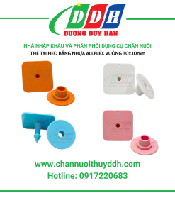 Thẻ đeo tai heo bằng nhựa vuông 30x30mm